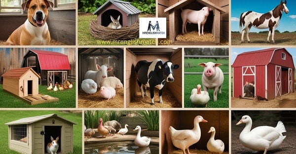 Homes Names of Common Domestic Animals