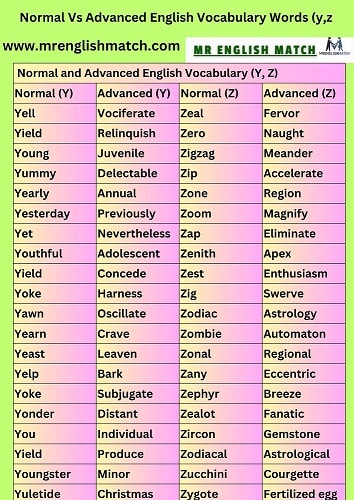 Normal and Advanced English Vocabulary (y,z