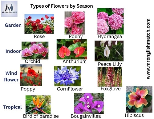 Types of Flowers by habitat