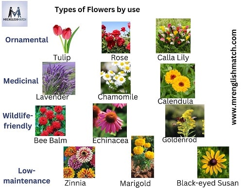 usage of flowers