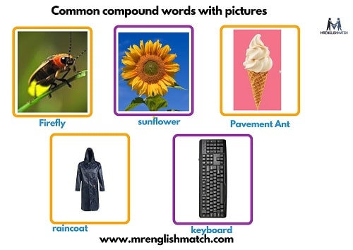 pictures compound words