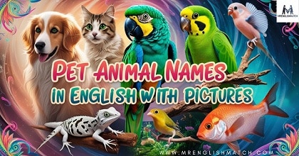 Names of pet animals