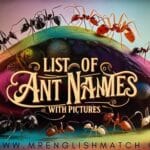 featured names of ants with pictures