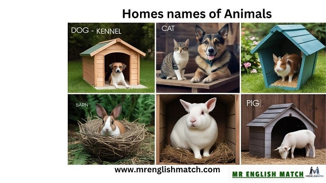 homes names of animals