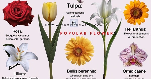 popular flowers