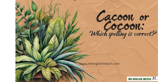 Cacoon or Cocoon Which Spelling is Correct feature